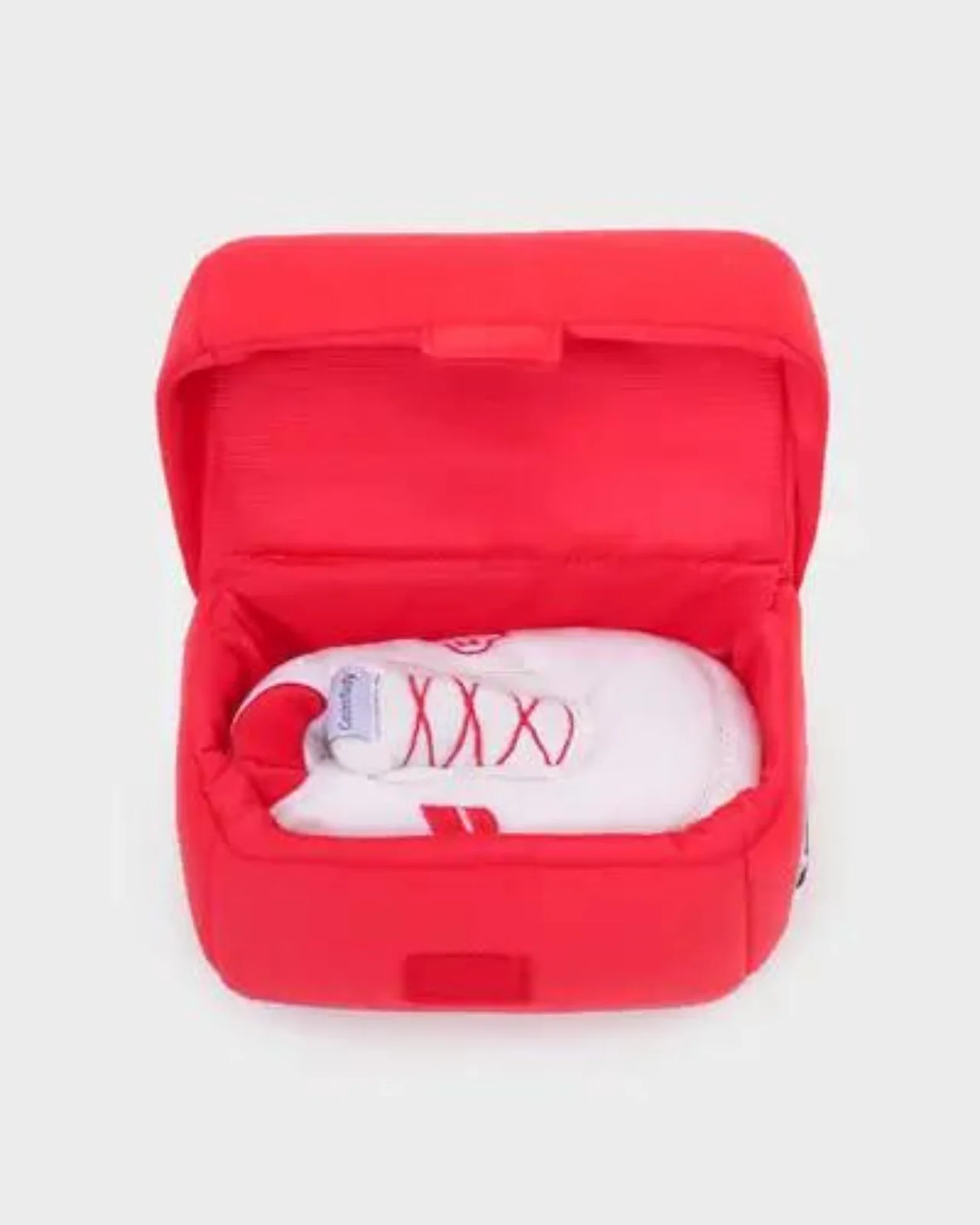 Shoe Box Nosework Toy (FINAL SALE) - Image 3