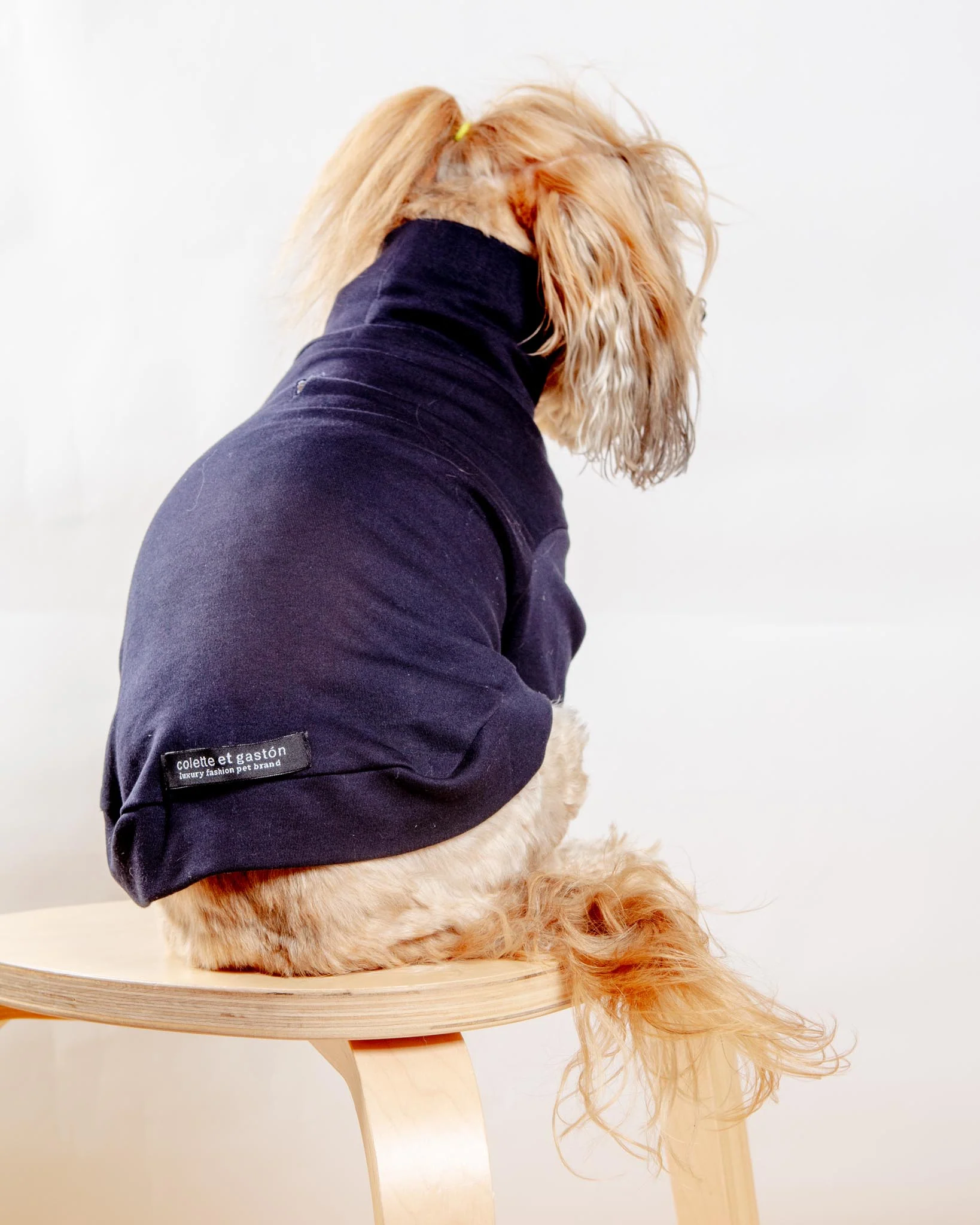 Cotton Pullover Dog T-Shirt in Lavender or Navy (FINAL SALE) - Image 3