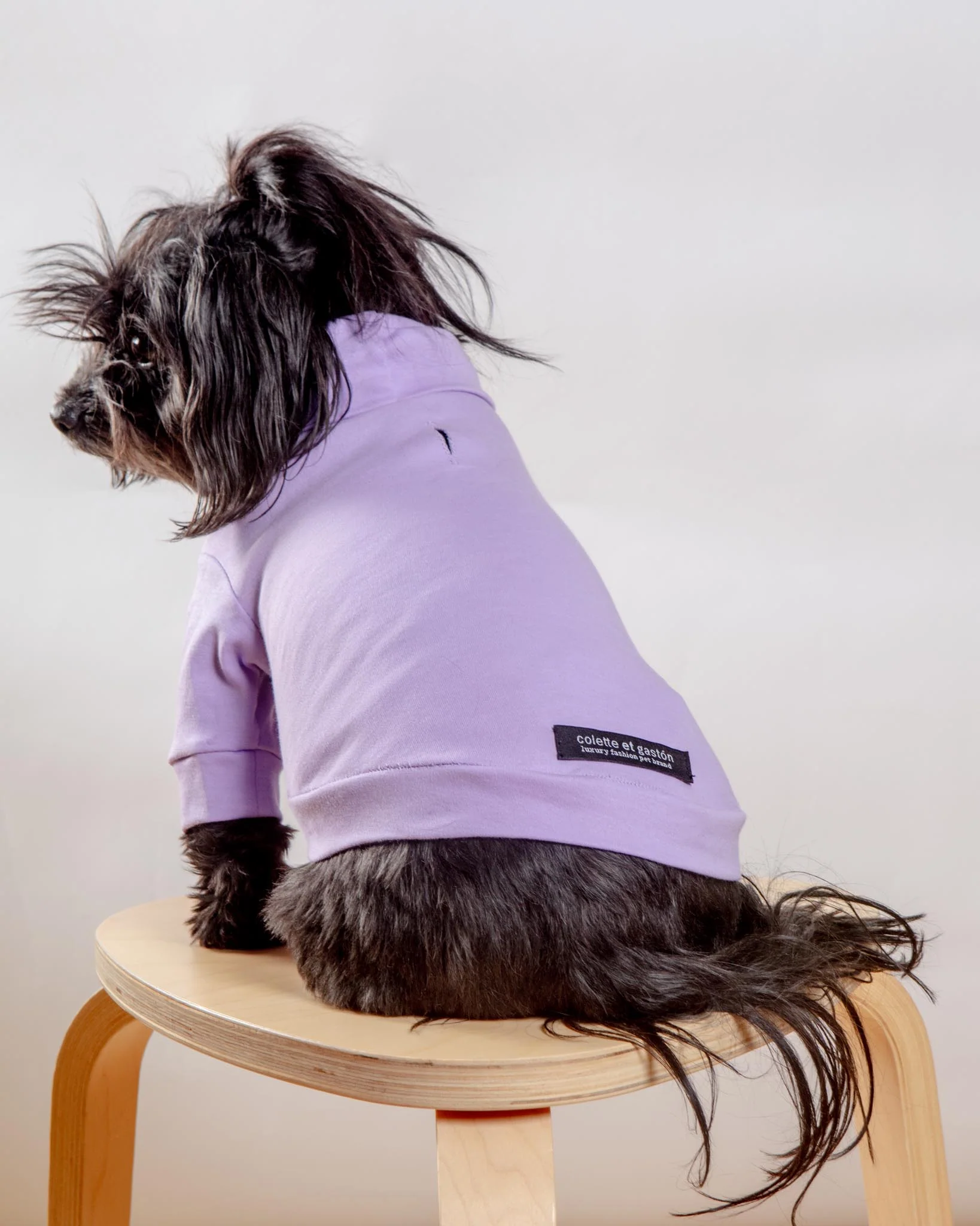 Cotton Pullover Dog T-Shirt in Lavender or Navy (FINAL SALE) - Image 7
