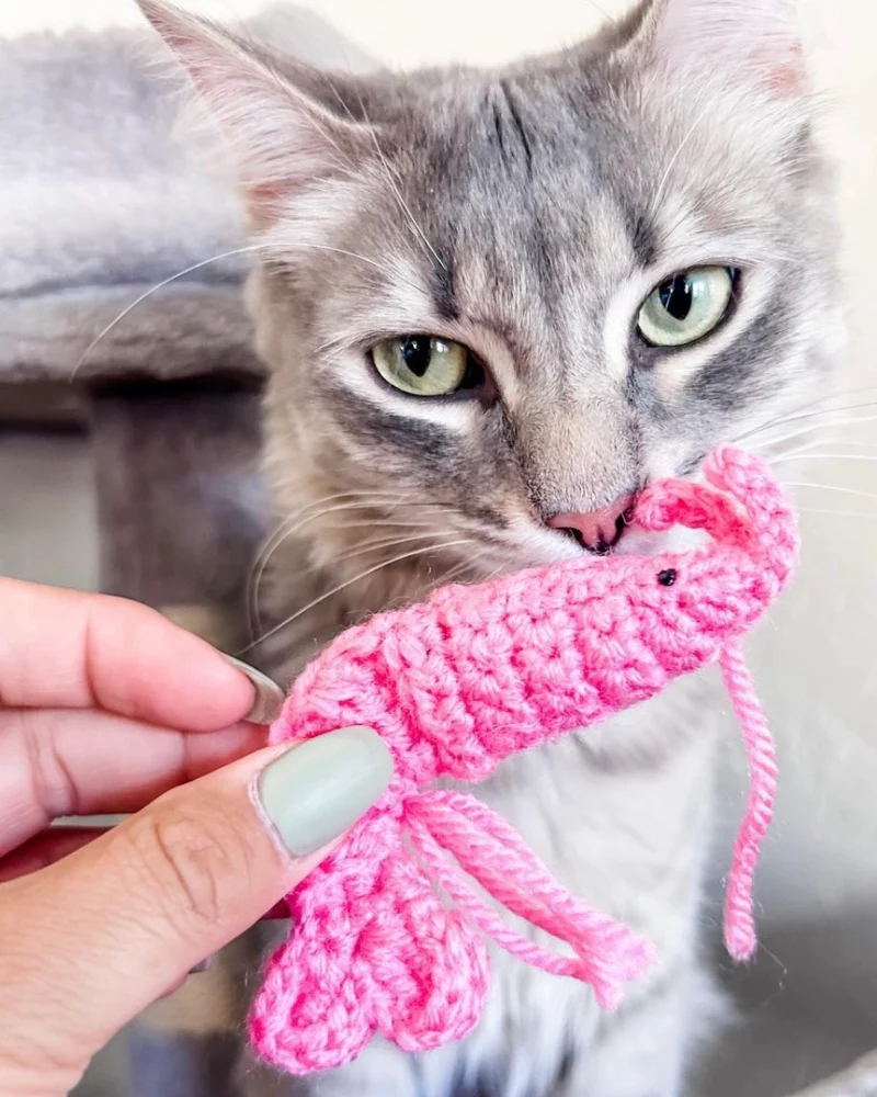 Shrimp Catnip Toy (Made in the USA) - Image 2
