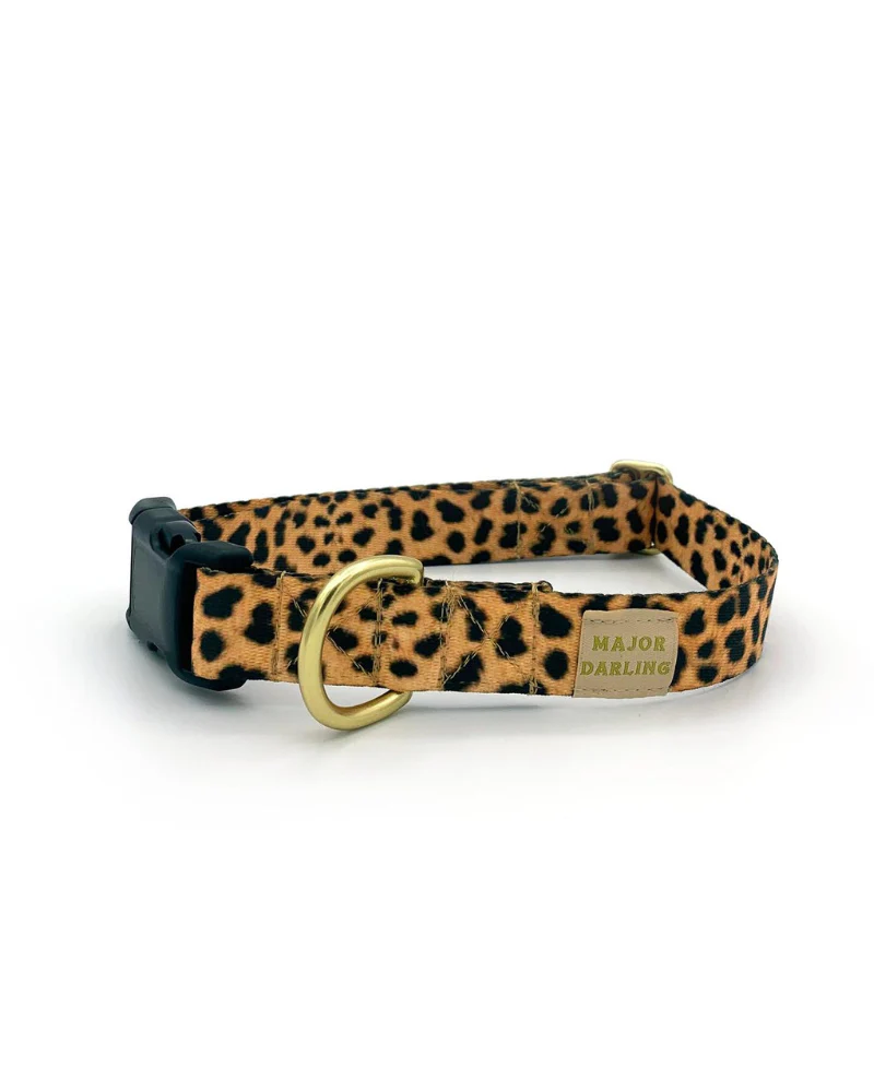 Side-Release Buckle Dog Collar in Leopard - Image 3