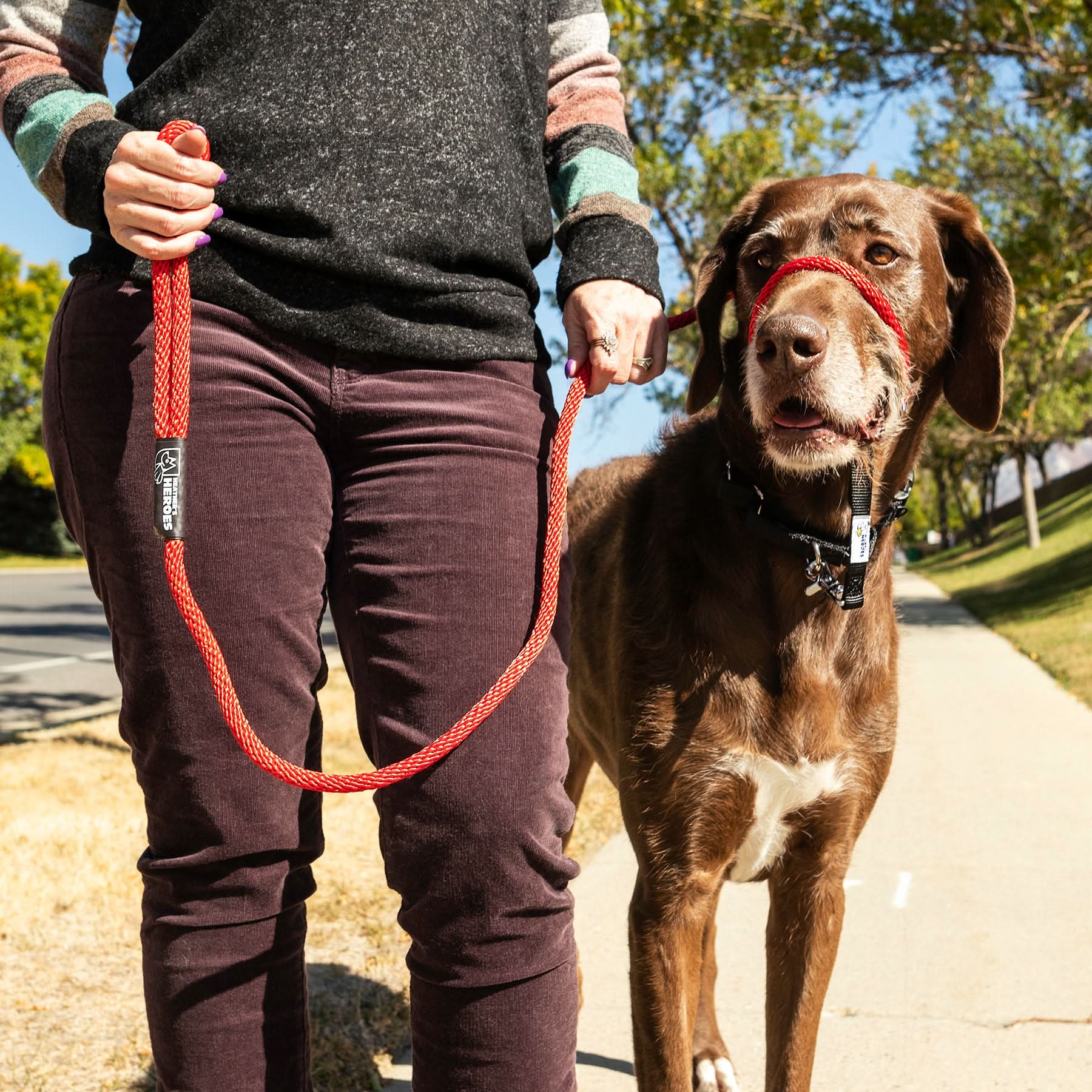 Sidekick Transitional No-Pull Leash - Image 2