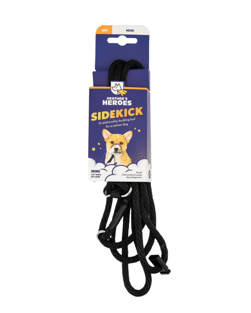 Sidekick Transitional No-Pull Leash - Image 3