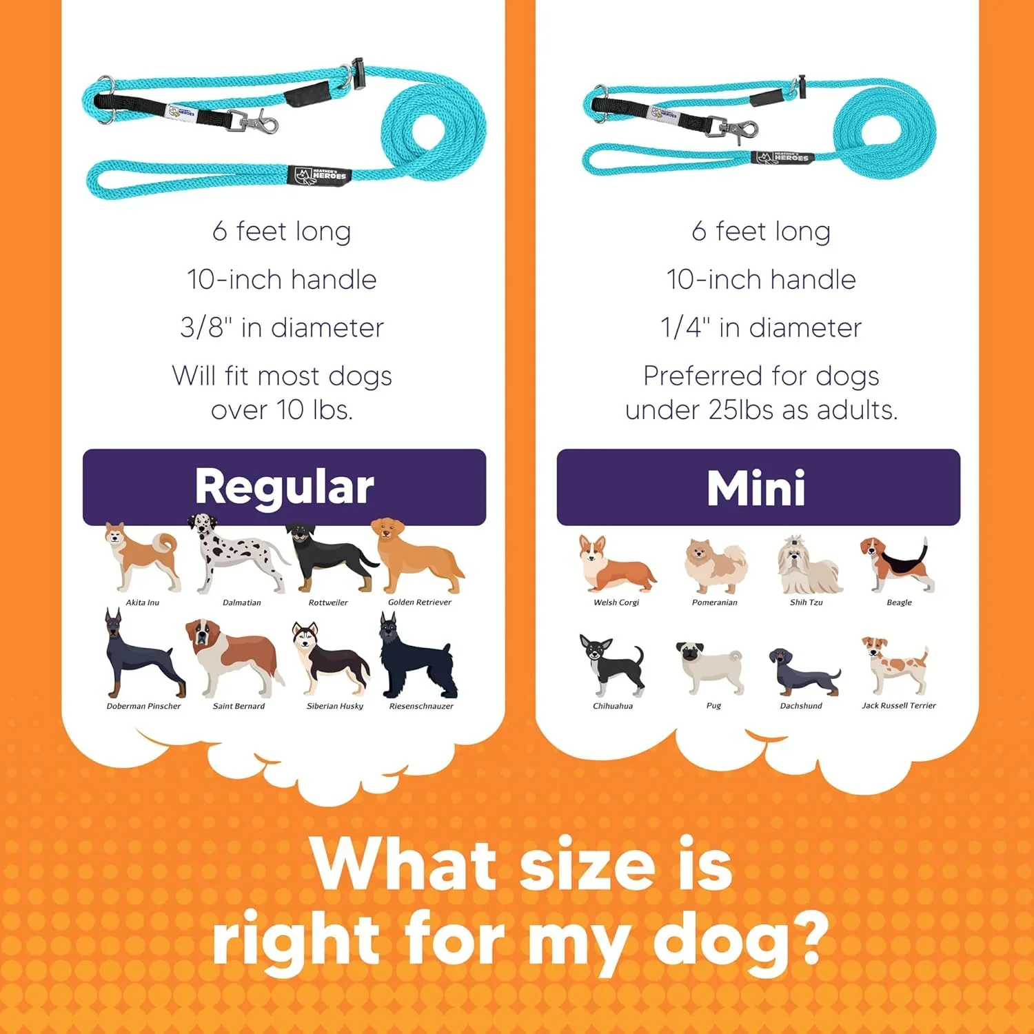 Sidekick Transitional No-Pull Leash - Image 5