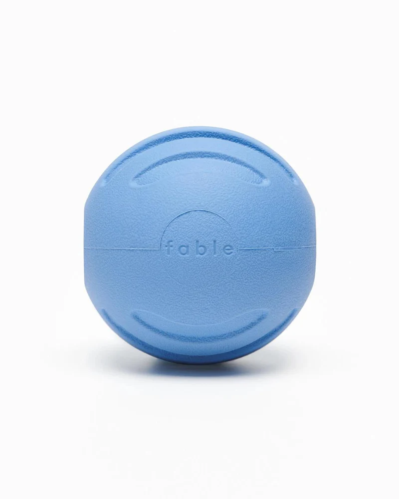 Signature Ball Interactive Dog Toy - Image 2