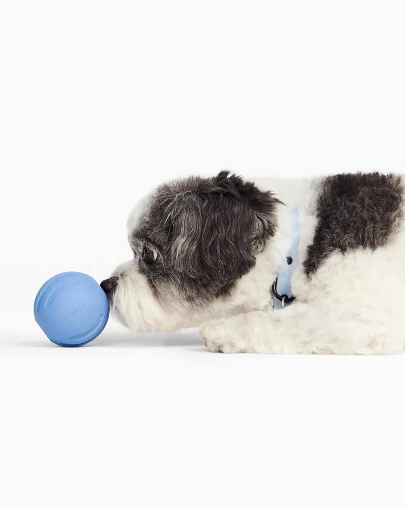 Signature Ball Interactive Dog Toy - Image 7