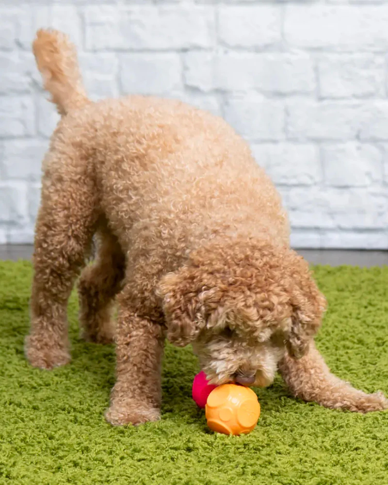 Silent Squeak 2-Pack Ball for Dogs - Image 3