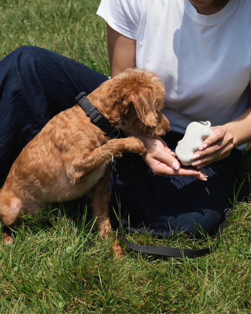 Silicone Dog Treat Dispenser - Image 15
