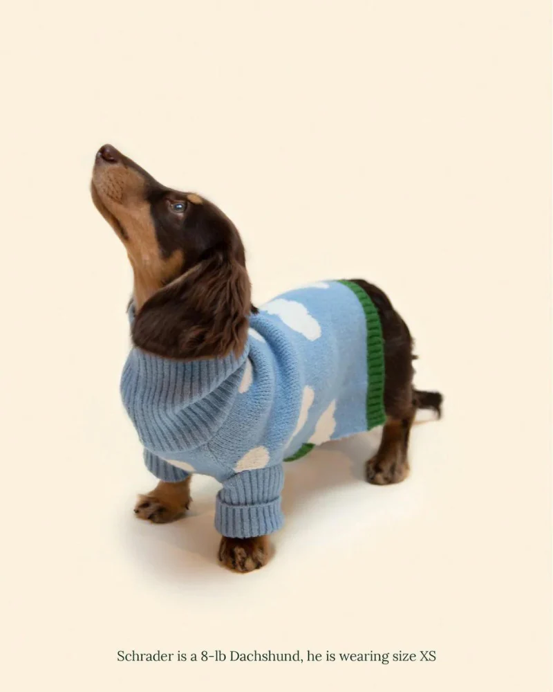 Silver Linings Dog Sweater - Image 4
