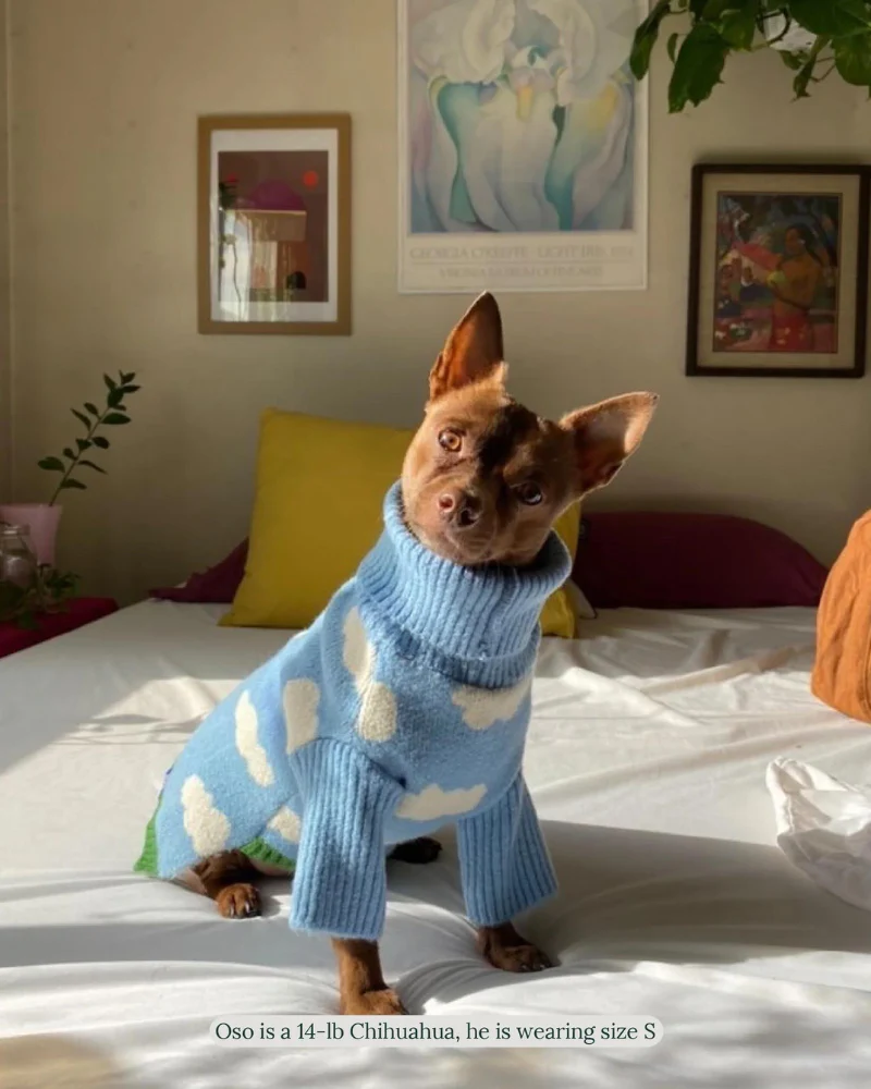 Silver Linings Dog Sweater - Image 5