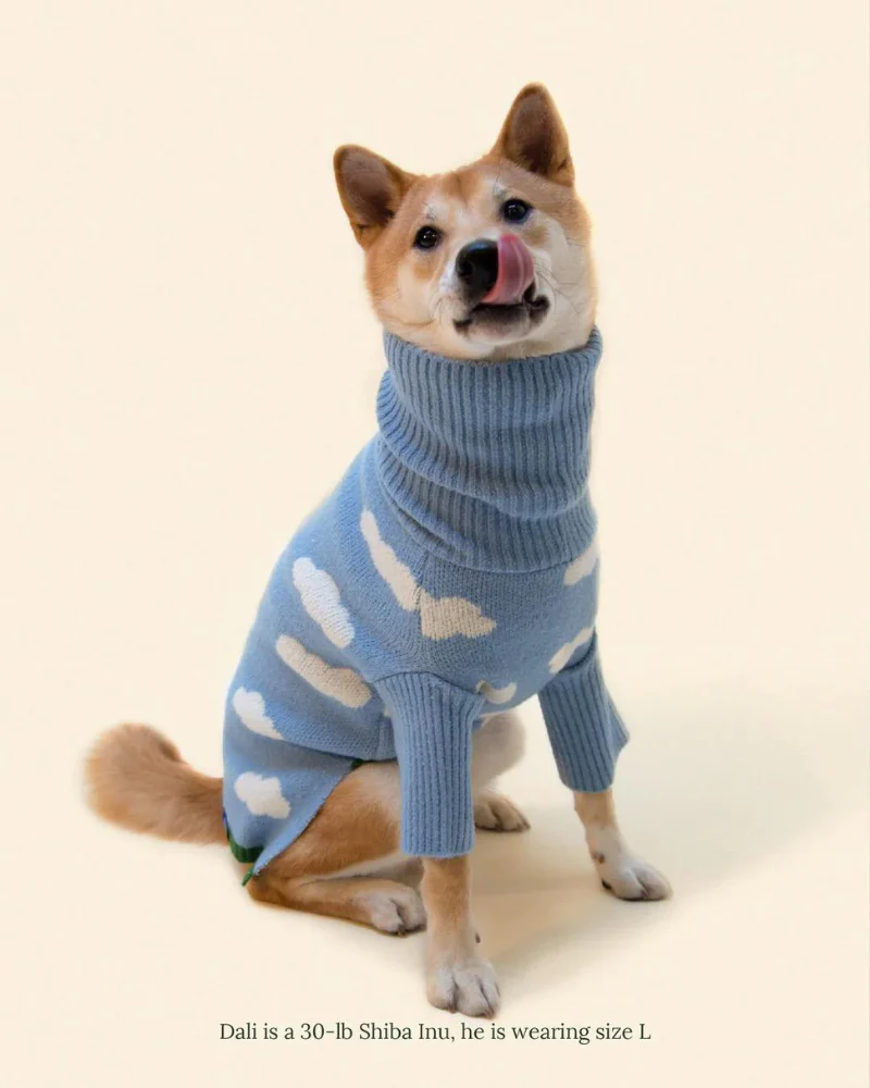 Silver Linings Dog Sweater - Image 6