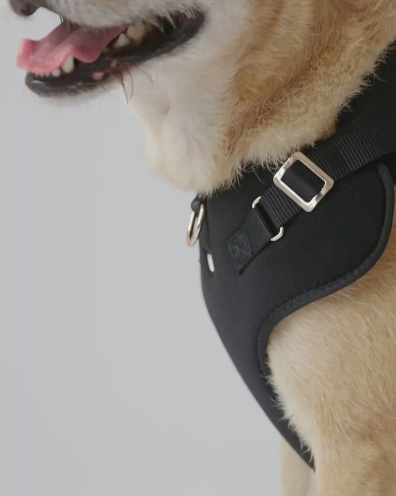 Aquafleece Water Repellant Dog Harness in Black<br>(FINAL SALE) - Image 3