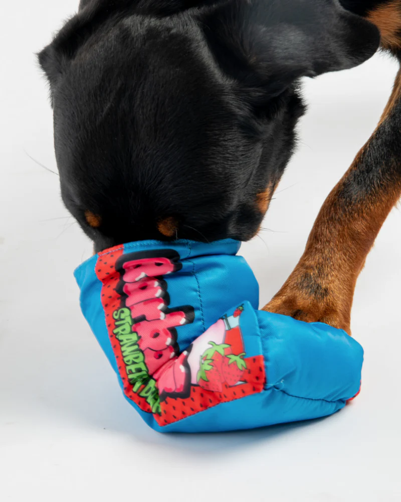 Barkalicious Crinkle + Squeak Dog Toy (FINAL SALE) - Image 2