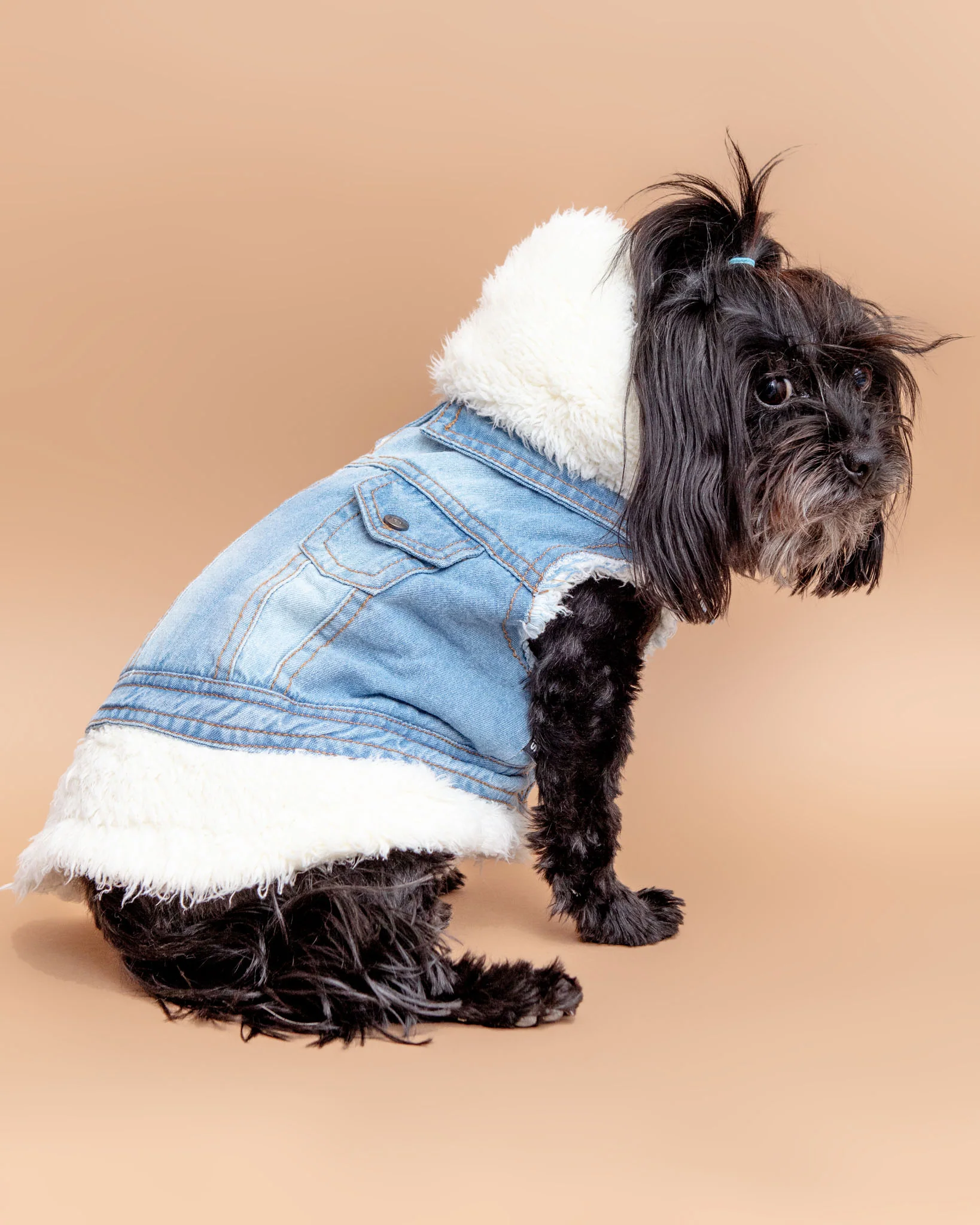 Justin Denim & Shearling Dog Jacket<br>((FINAL SALE)) - Image 5