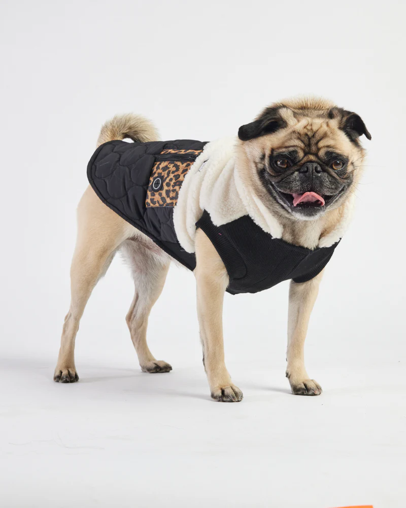 Loki Sherpa + Leopard Quilted Dog Jacket<br>((FINAL SALE)) - Image 4