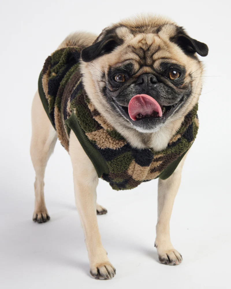 Hunter Sherpa Dog Hoodie in Camo<br>((FINAL SALE)) - Image 2