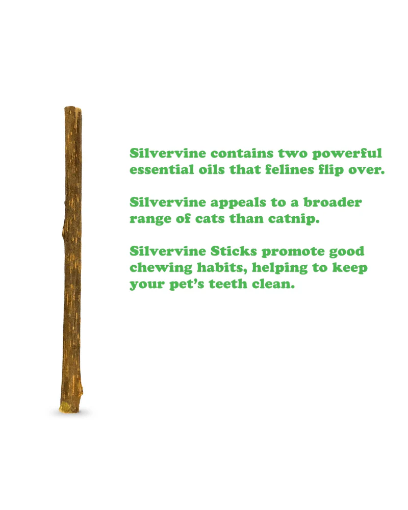 Silvervine Cat Sticks (6-Pack) - Image 6