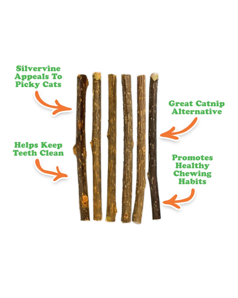 Silvervine Cat Sticks (6-Pack) - Image 7