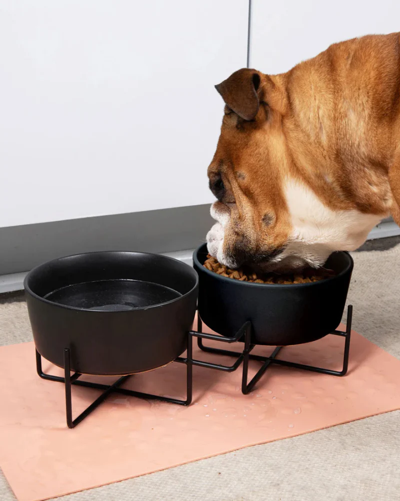Simple Solid Double Feeder Bowl + Bowl Stand in Black - Image 2