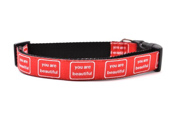 SIX POINT PET | You are Beautiful Collar