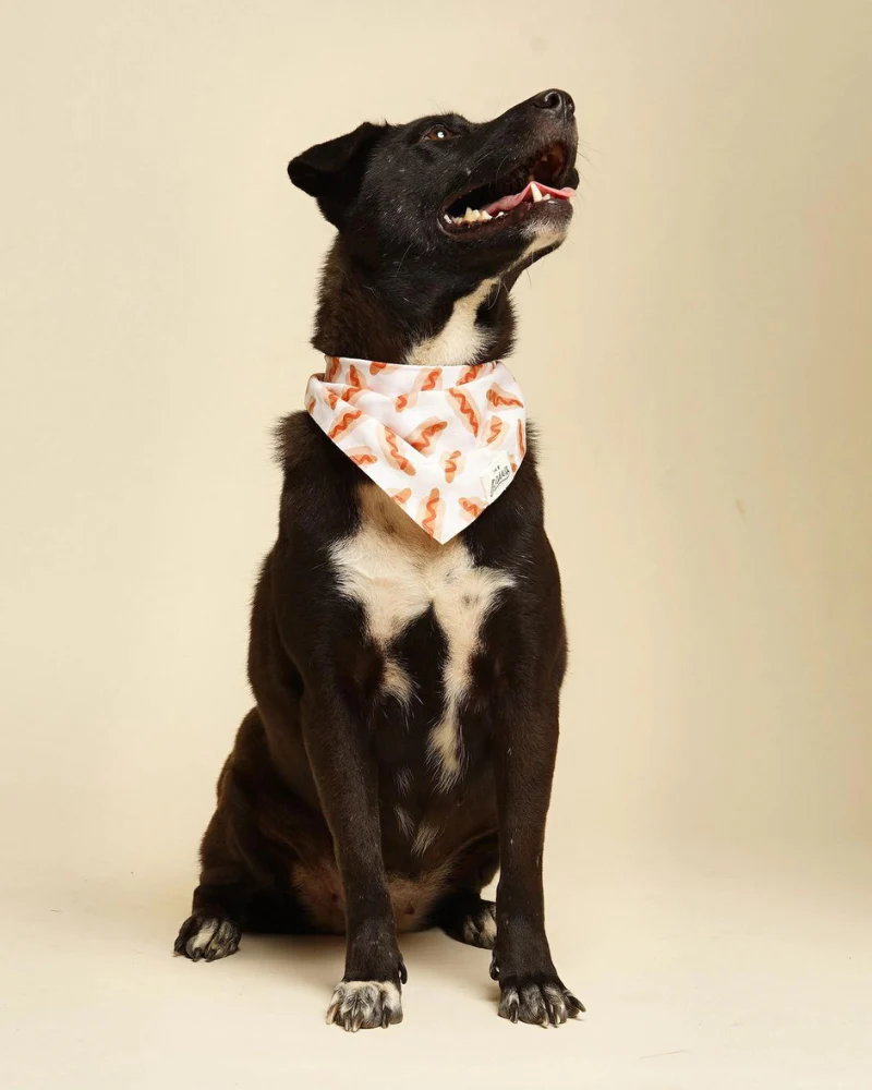 Sizzle Hot Dog Bandana (FINAL SALE) - Image 2