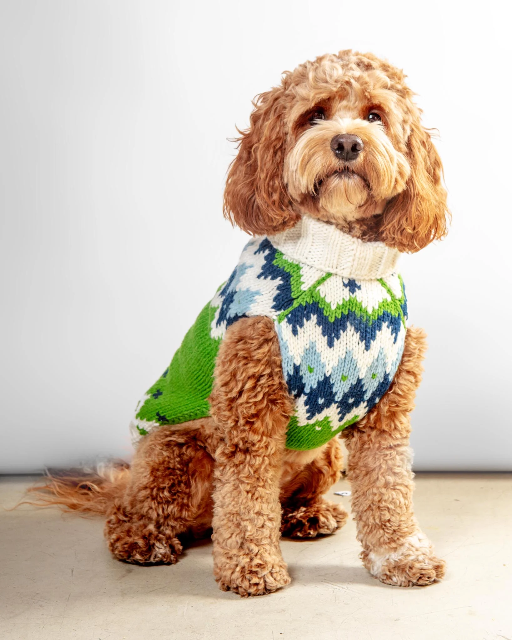 Ski Bum Dog Sweater in Green (FINAL SALE)