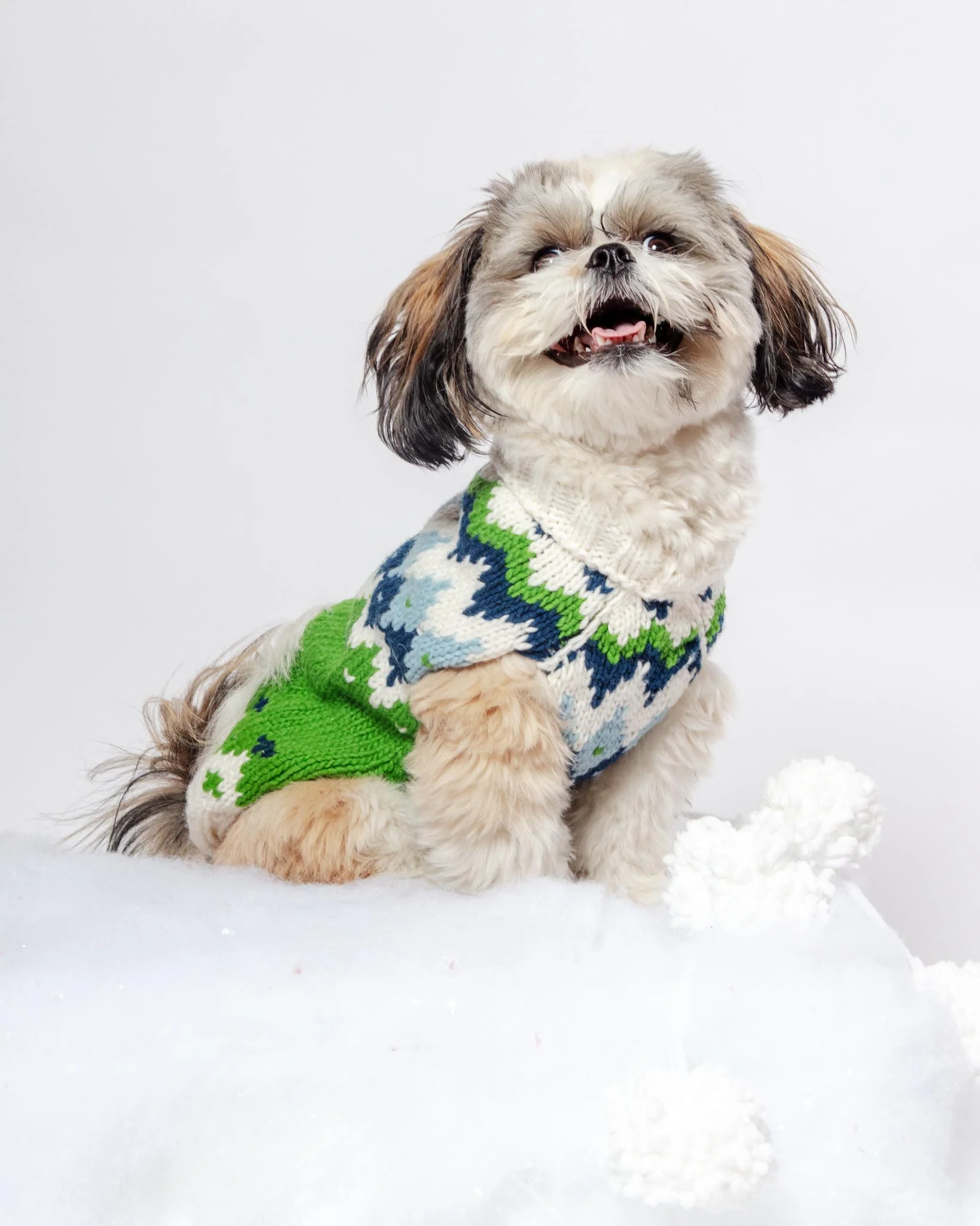Ski Bum Dog Sweater in Green (FINAL SALE) - Image 2