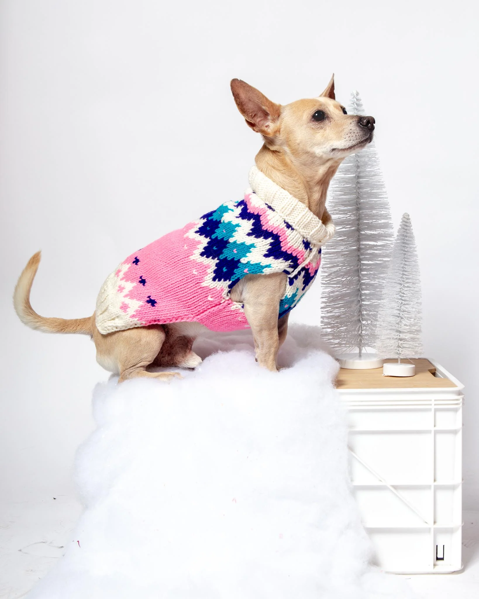 Ski Bum Dog Sweater in Pink (FINAL SALE)