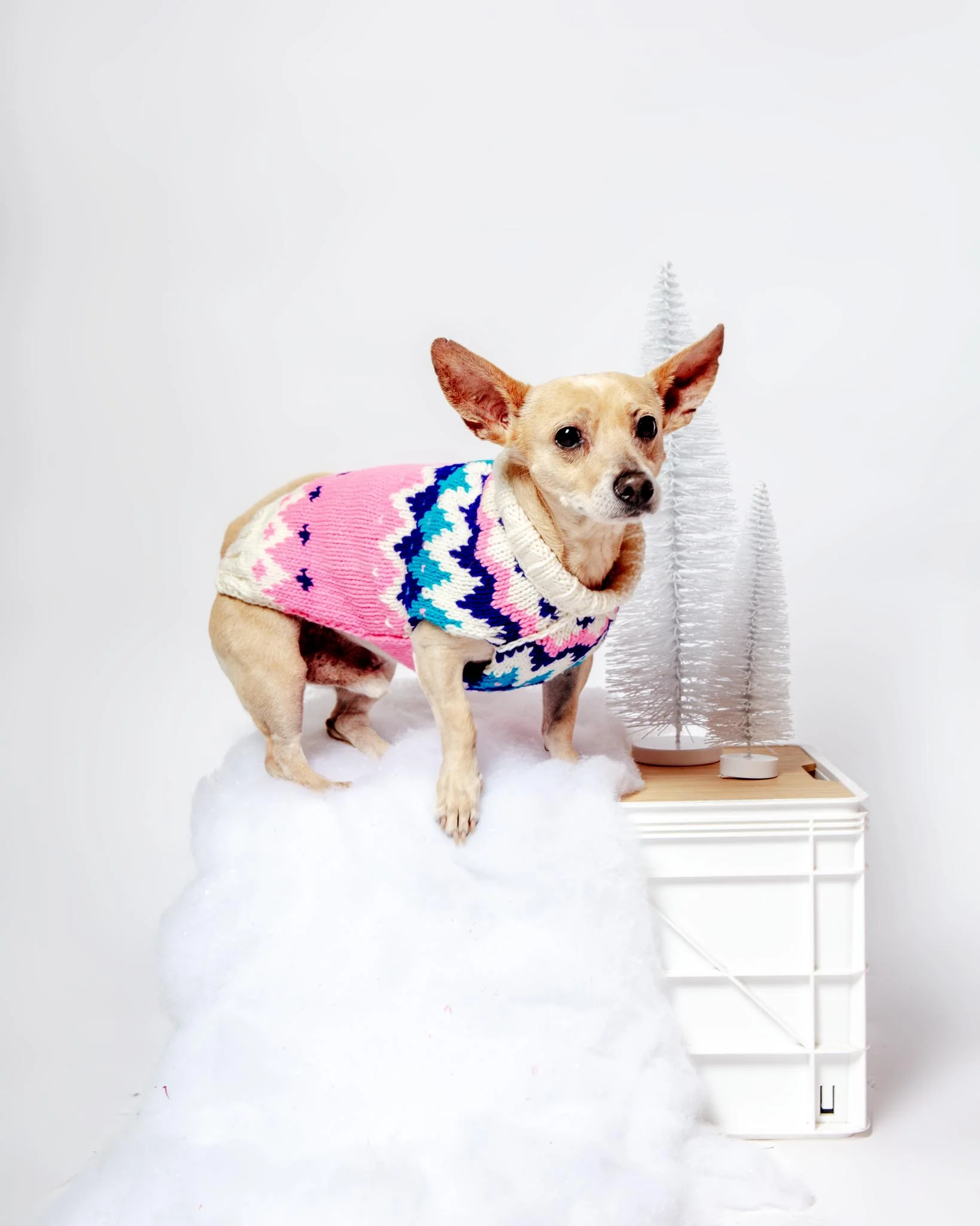 Ski Bum Dog Sweater in Pink (FINAL SALE) - Image 2