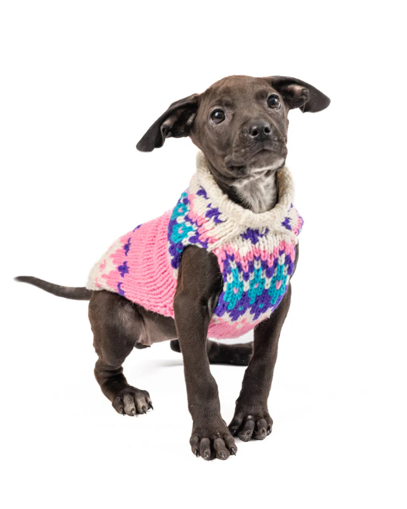 Ski Bum Dog Sweater in Pink (FINAL SALE) - Image 5