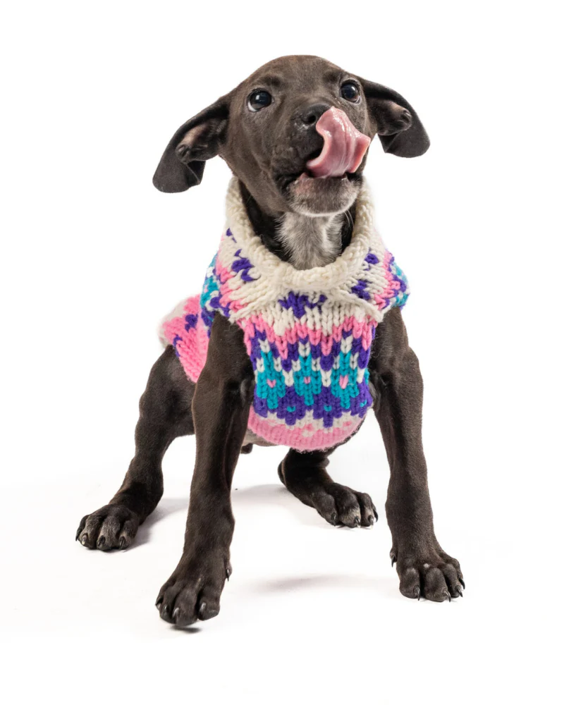 Ski Bum Dog Sweater in Pink (FINAL SALE) - Image 7