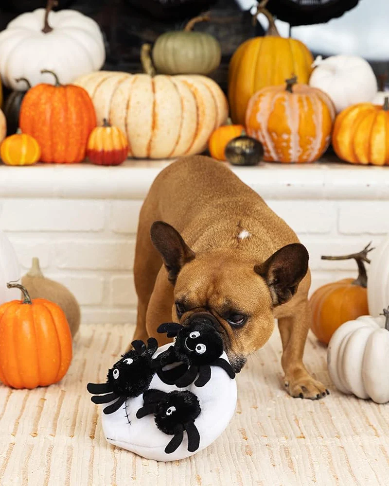 Skull + Spiders Hide-and-Seek Plush Dog Toy