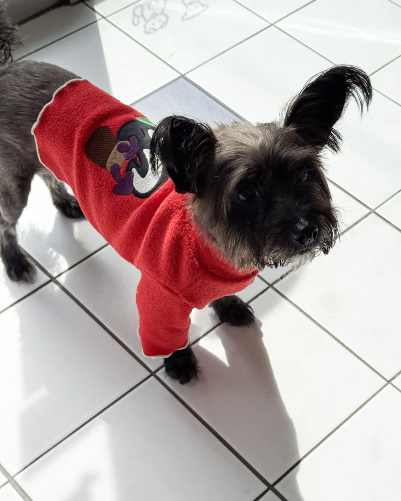 Skunk & Mushroom Dog Shirt (FINAL SALE) - Image 4