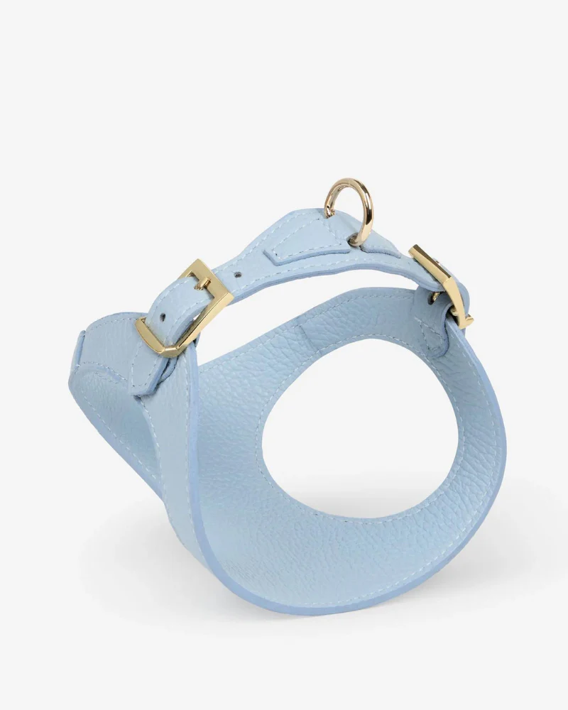Juno Leather Dog Harness in Sky Blue (Made in Italy) (FINAL SALE) - Image 6