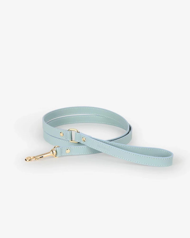 Sky Blue Nara Leather Dog Leash with Brass Hardware (Made in Italy) - Image 4
