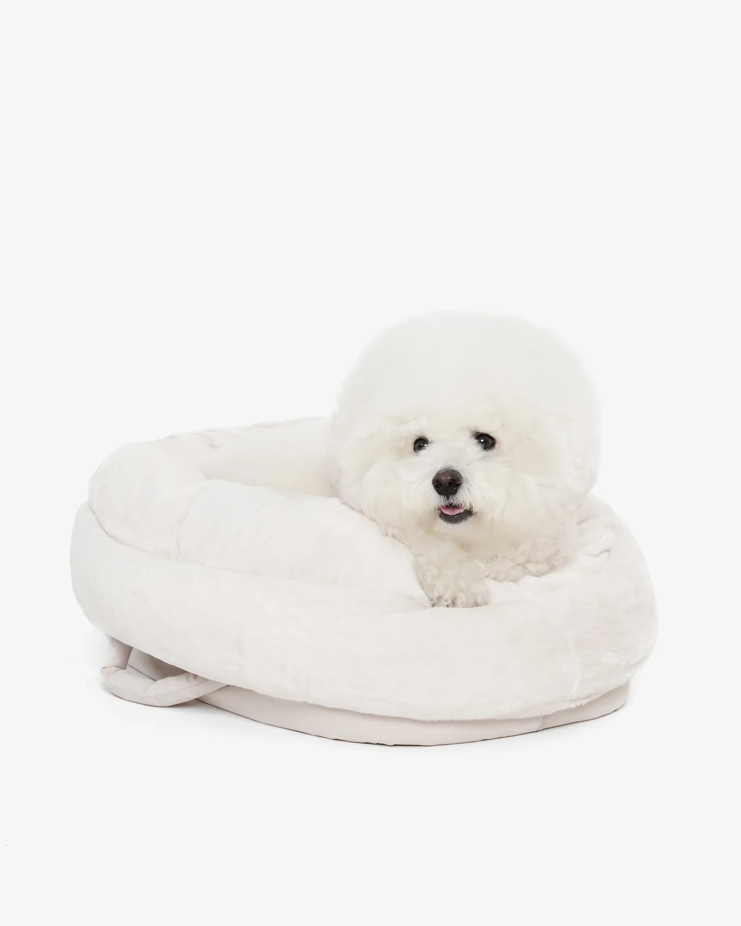 Sleeping Cushion Dog Bag - Image 12