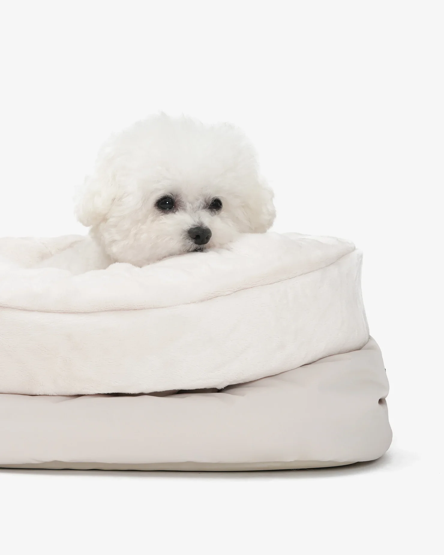 Sleeping Cushion Dog Bag - Image 6