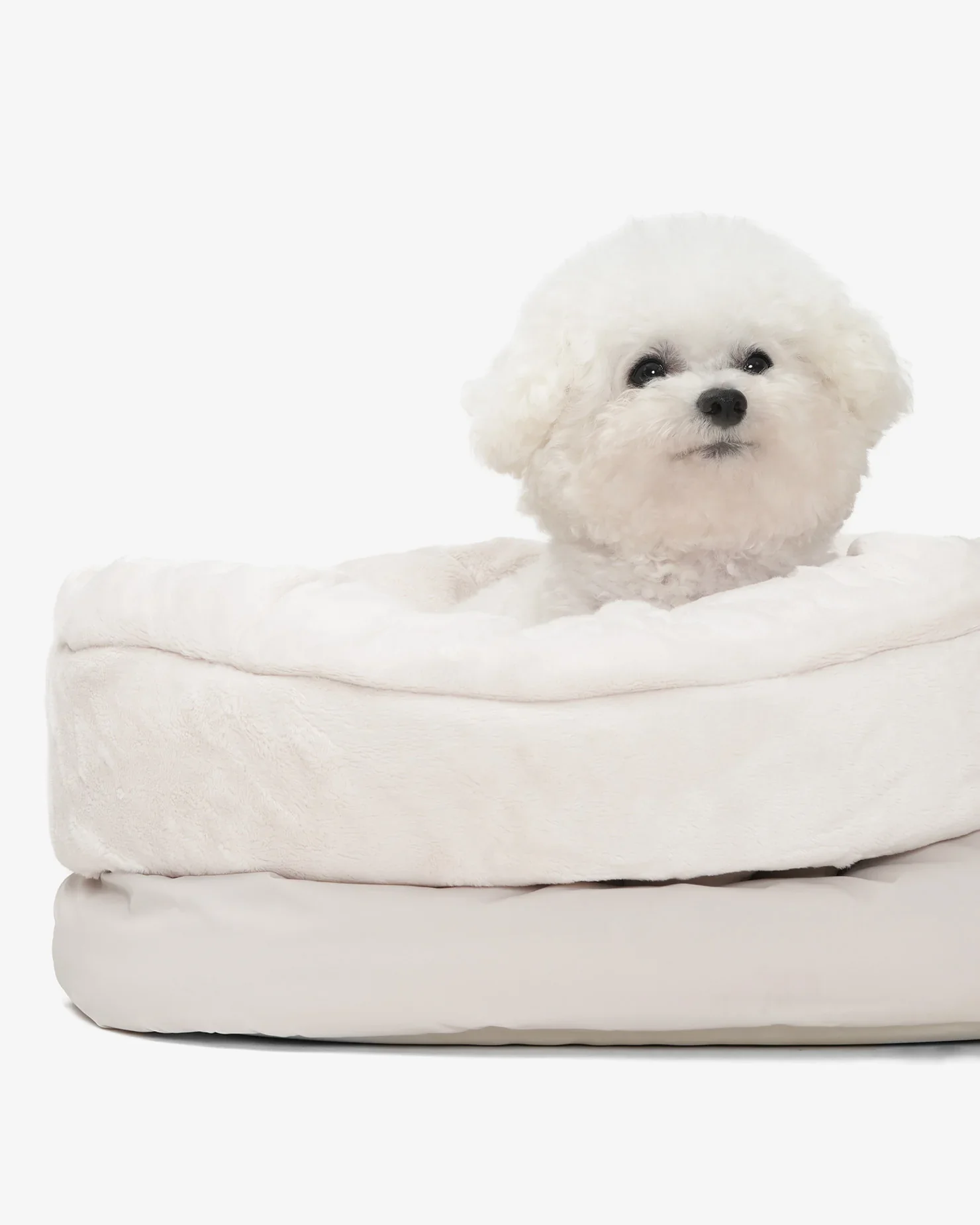 Sleeping Cushion Dog Bag - Image 7