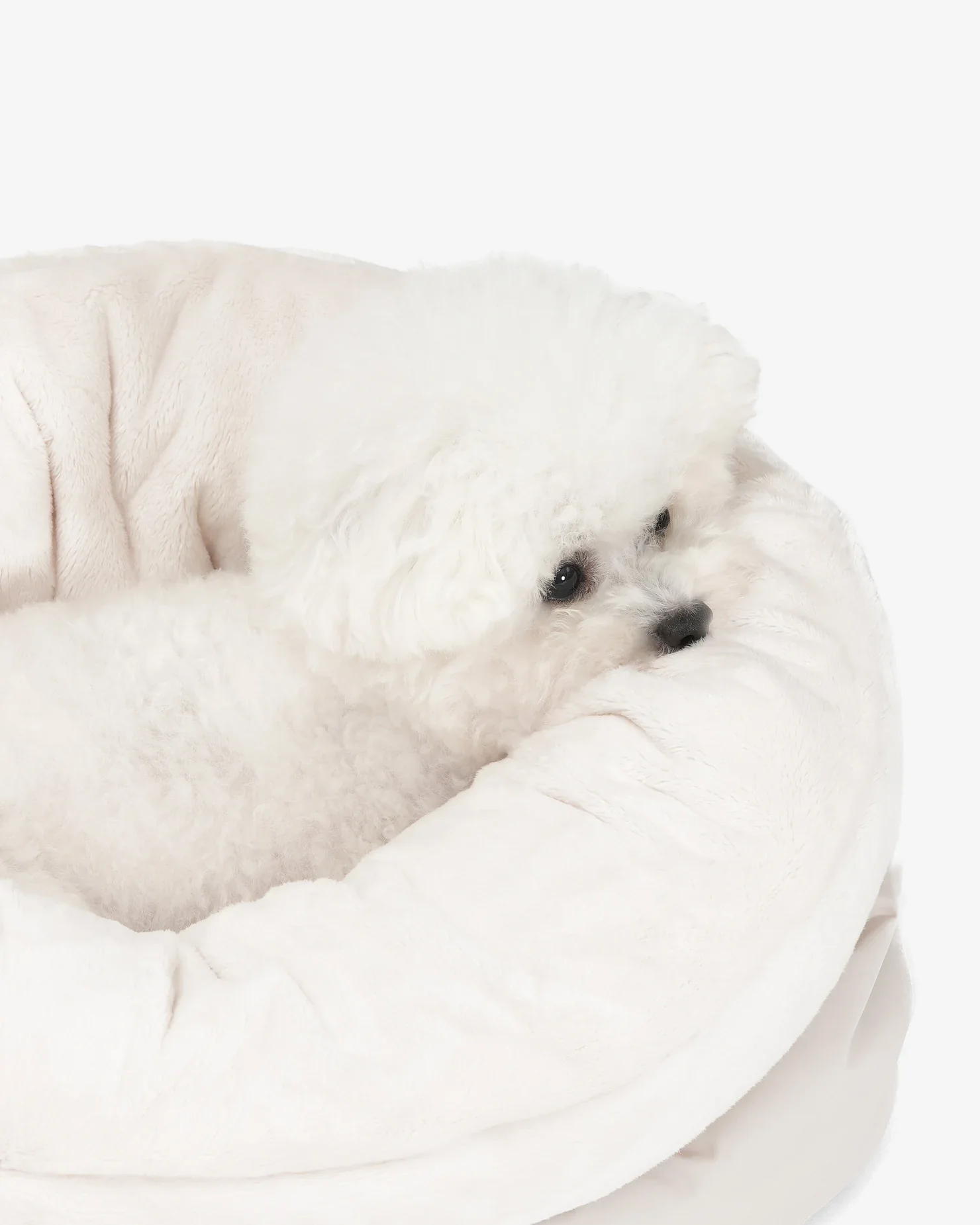 Sleeping Cushion Dog Bag - Image 8