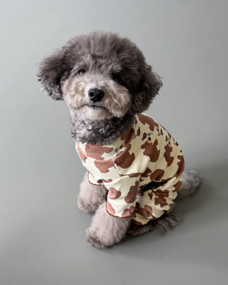Bear & Ladybug Dog Onesie - Image 2