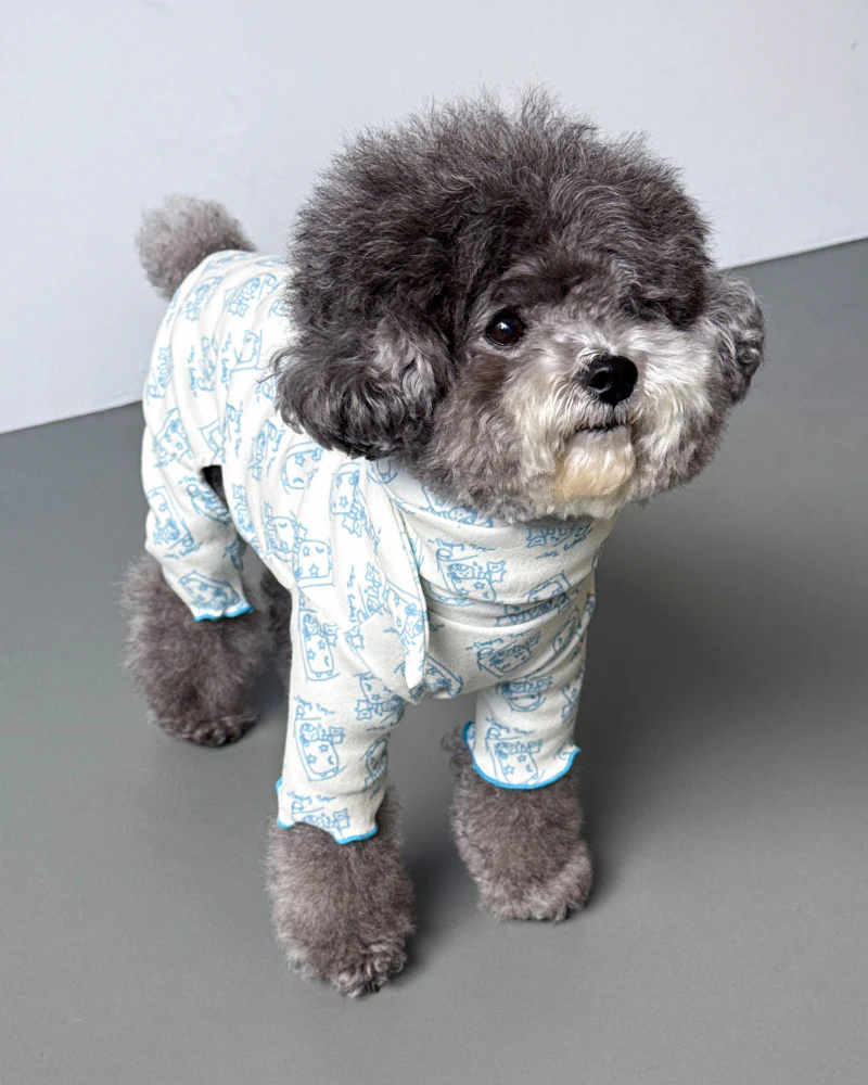 All-In-One Sleeping Time Dog Onesie (FINAL SALE) - Image 2