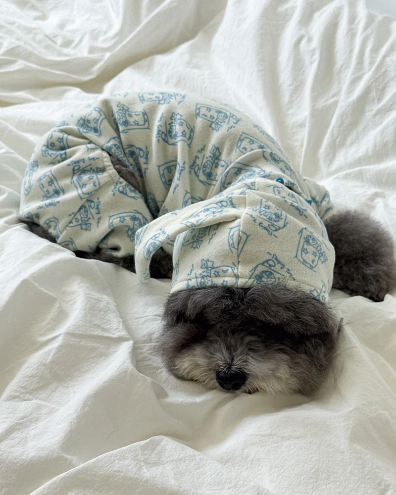 All-In-One Sleeping Time Dog Onesie (FINAL SALE) - Image 4