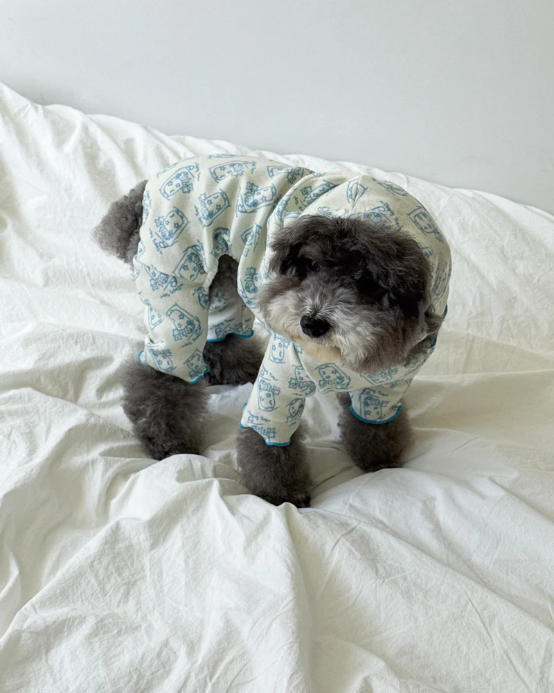 All-In-One Sleeping Time Dog Onesie (FINAL SALE) - Image 5