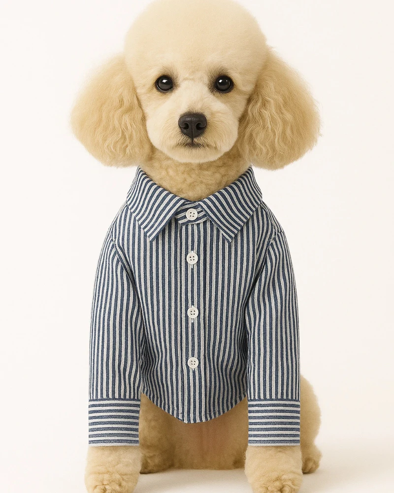 Slim Fit Organic Cotton Button Down Dog Shirt in Striped Navy Blue (FINAL SALE)
