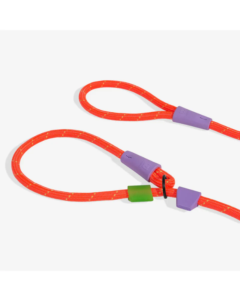 Slip-N-Lock Dog Leash in Everest