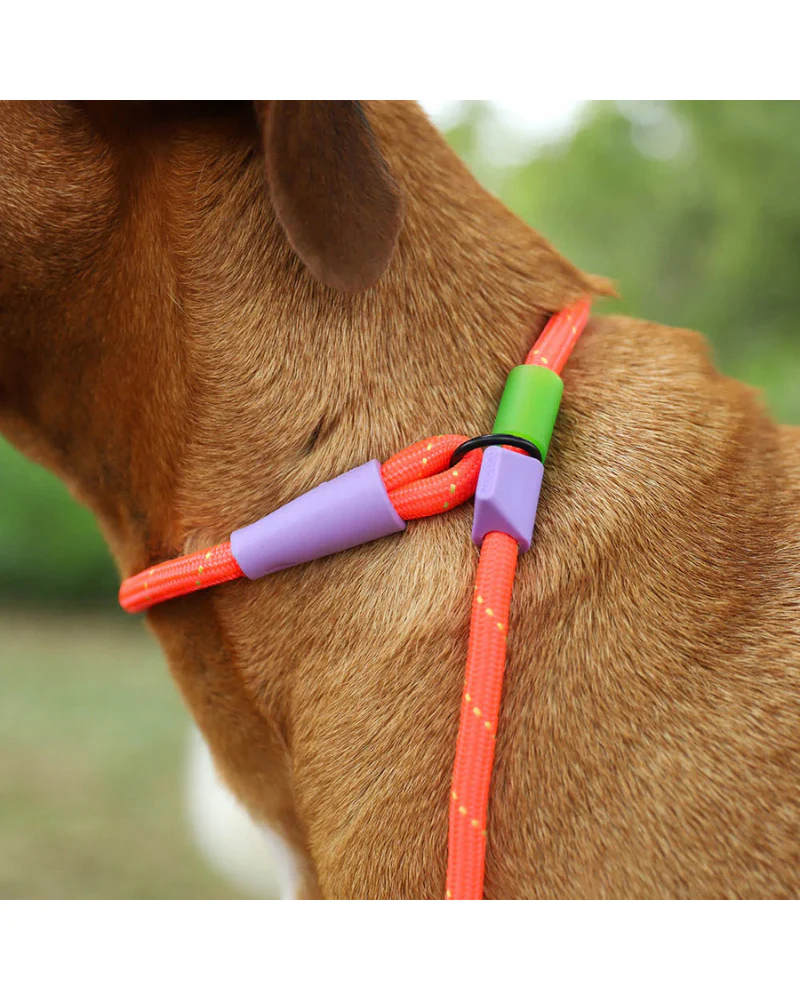 Slip-N-Lock Dog Leash in Everest - Image 2