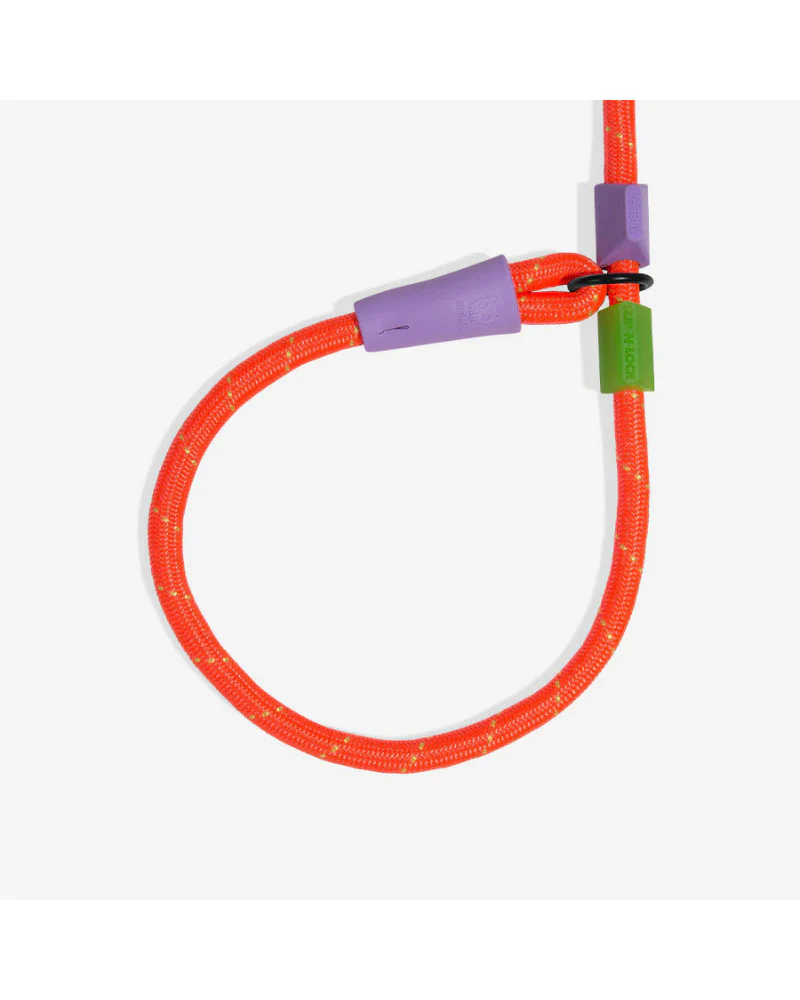 Slip-N-Lock Dog Leash in Everest - Image 3