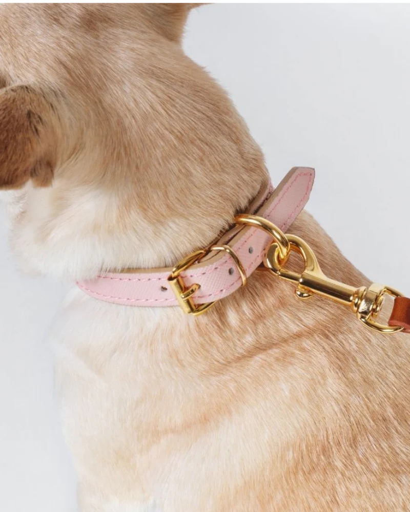 Small Dog Collar in Blush Pink Leather (Made in Italy) (FINAL SALE) - Image 3