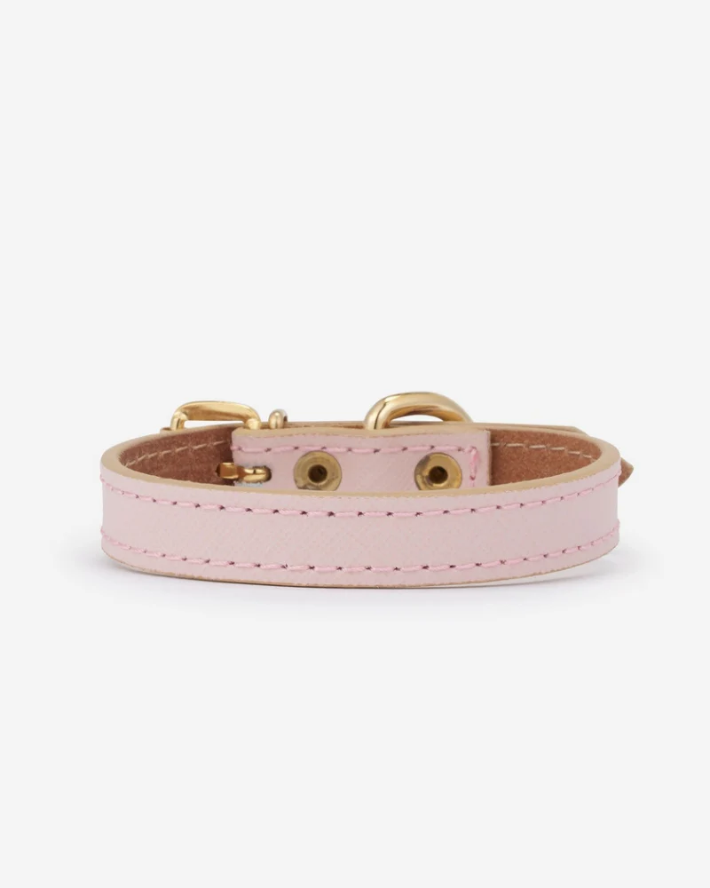 Small Dog Collar in Blush Pink Leather (Made in Italy) (FINAL SALE) - Image 4