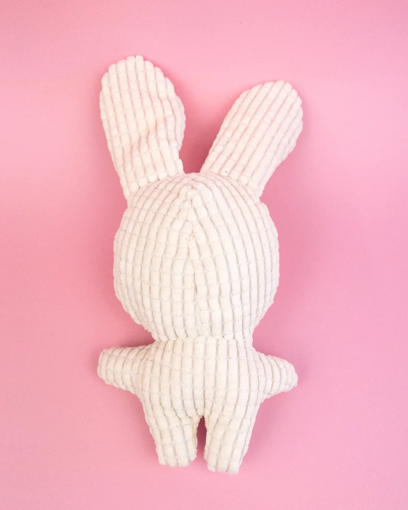 Small Squeaky Corn Fleece Plush Dog Toy - Image 7